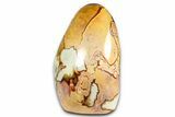 Free-Standing Polished Polychrome Jasper - Madagascar #360482-1